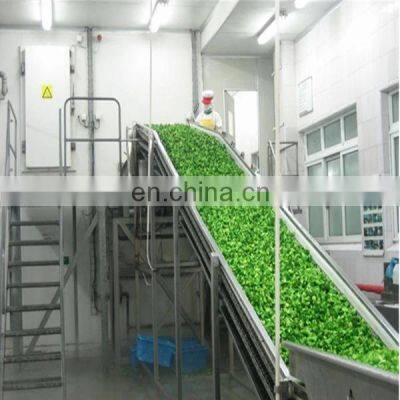 Automatic Frozen Fruit & Vegetable Processing Line photo-2