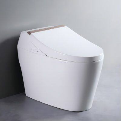 Intelligent Toilet All-in-one Machine Toilet Fully Automatic Sensing, Flushing, Hot Drying, Antibacterial Digital Display Toilet