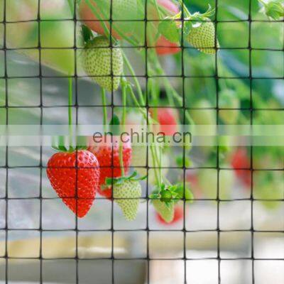 Gardzen 6.8ft x 65ft Anti Bird Netting strawberries