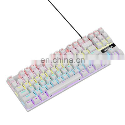 Hot Sale 61 Keys Mini Gaming Keyboard RGB Backlit Red Switch Teclado Gamer wired wireless Mechanical Keyboard