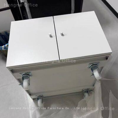 Lockable Printer Cabinet With Shelves | Steel Base for HP Printers | Office Storage Furniture for Commercial Offices photo-5