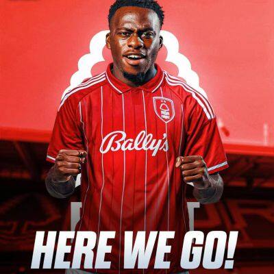 25-26 Nottingham Forest Jersey Nottingham Football Kit Player Version No. 10 Short Sleeve Football Jersey photo-4