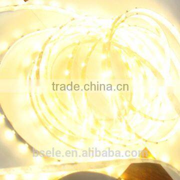 12V/24V Warm White LED Waterproof Flexible Light Ribbon