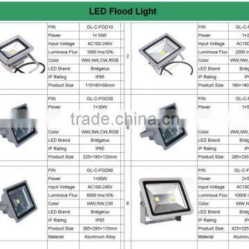 30w Led Floodight CE ROHS CRI>80 PF>0.9 90lm/w 10w 20w 50w 100w 80w Aluminum Rechargable Portable photo-6