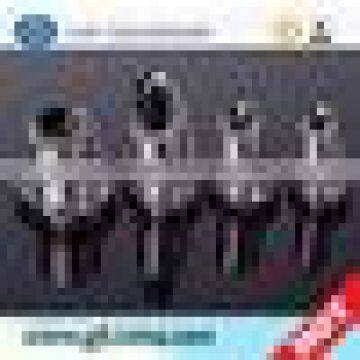 China Hot Selling Products Ball Screw Linear, Miniature Ball Screw photo-4