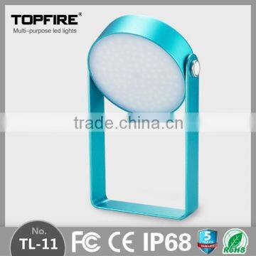 IP68 waterproof standard hard body hand light