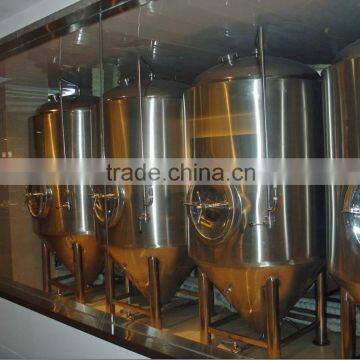 RJ 500l Micro cheap restaurant beer brewing equipment Filling equipment for sale