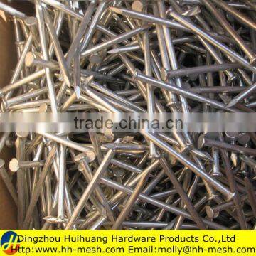 Direct factory price for high quality common wire nails