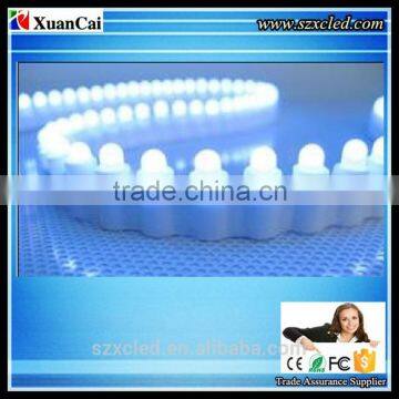 CE RoHS (XC-5MM-99CM99LED/M) indoor/Outdoor soft/flexible and hard/rigid LED strips Lights display