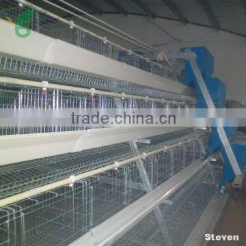 Professional Galvanized Hot Sale Automatic Poultry Chicken Control Shed Equipment