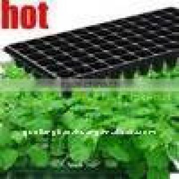 Plastic Seedling Tray