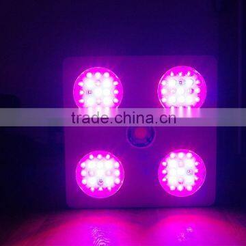 Creex CXA 3070 COB 300w LED Grow Light photo-4