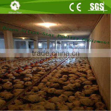 Hot Sales China Good Quality Poultry Farm Floor System Broiler Raising Equipments