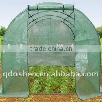 Tomato Greenhouse