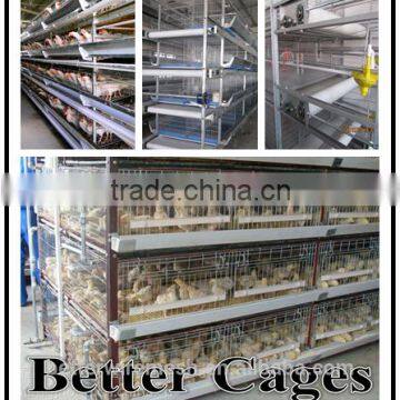 High quality H type battery chicken cages for broiler in Kenya Farm(Factory price)