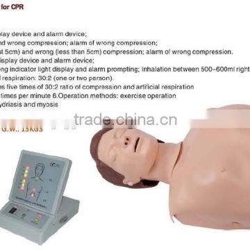 CPR180S Half Body CPR Training Manikin teaching models