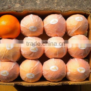 Fresh Orange Fruit Chinese Origin