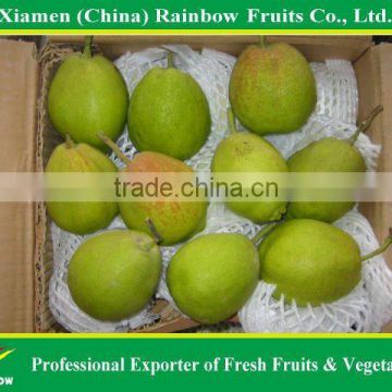 Chinese Fresh Pear