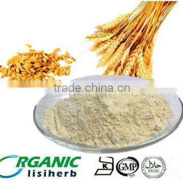 wholesale 100% natrual top quality NON-GMO food grade wheat protein