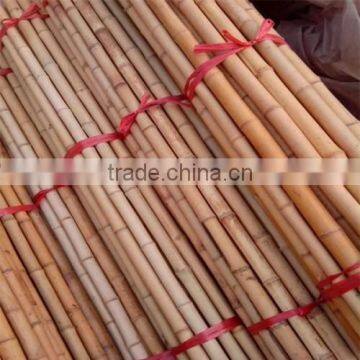 Variosu Size Bamboo Poles photo-3