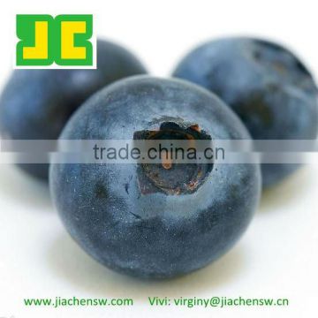 100%Natural Fruit Extract ,Blueberry Powder