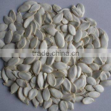 Snow White Pumpkin Seeds