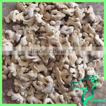 Chinese Mature Ginger Dried Best Market Price photo-6
