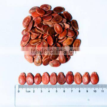 2016 New Crop Dried Red Melon Seeds, Hybrid Watermelon Seeds for Sale