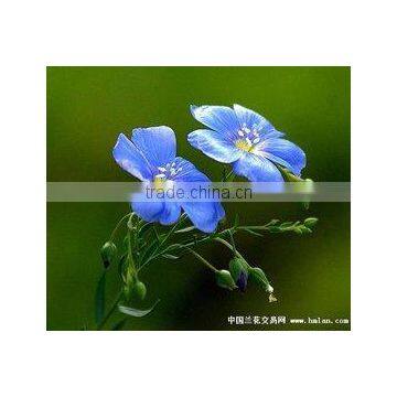 Health Food Herbel Flax Seed Oil (ALA:35-65%) KOSHER&HALAL photo-2