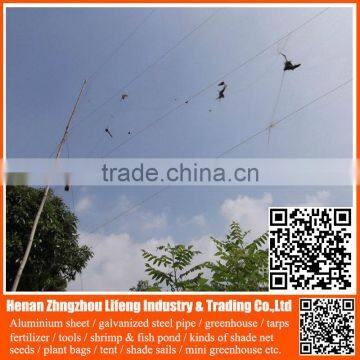 high quality anti bird net / pe anti bird net / plastic bird net for protecting grape,anti bird net made in China  china