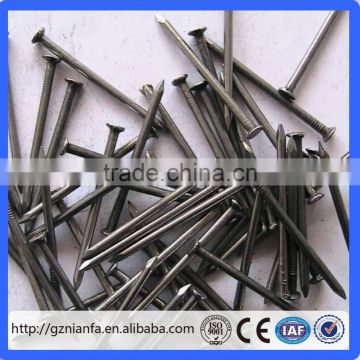 High quality common wire nail/Black Iron common nail(Guangzhou Factory)