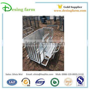 Sheep livestock farming equipment