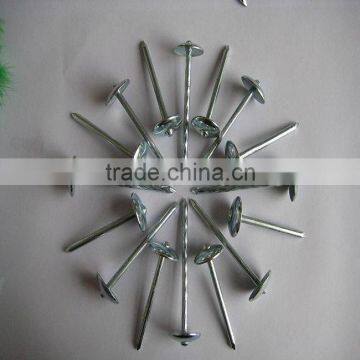 Roofing Nail photo-3