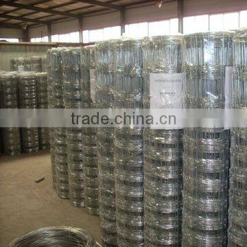 Cheap Animal Wire Mesh Fence for Sale (Big Factory in Anping) photo-6