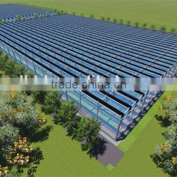 High Quality Glass Covered Tomato Seed for Greenhouse photo-5