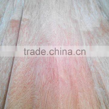 Linyi Factory Rotary Cut Grade a b c 0.30mm 4'x8' Bintangor Face Veneer photo-3