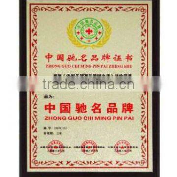 Well-known chinese brands