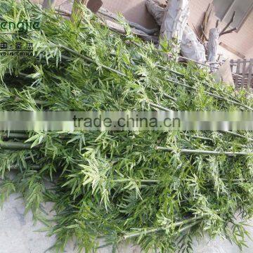 SJ Plastic Realistic Artificial/leek Arrangement of Bamboo With Leaves,bamboo Poles photo-4