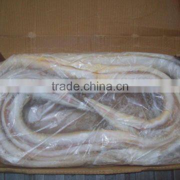 Frozen Eel Fish photo-2