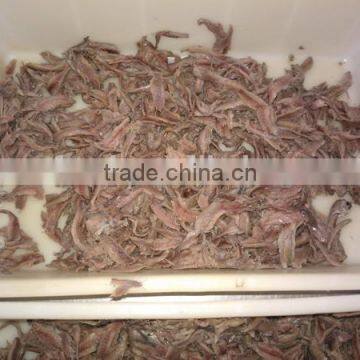 High Quality Salted Anchovy Fillet photo-5