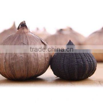Zhengzhou Product Peeled Solo Black Garlic Packed With Organic Certificate photo-2