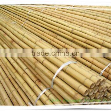 Wholesale yellow bamboo canes with low price