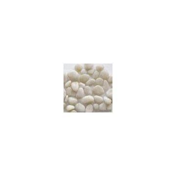 Sell Pebble Stone & Cobble Stone