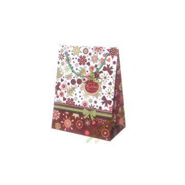 Christmas Gift Bag