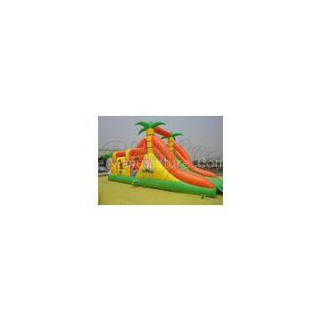 EN-14960, Commercial Inflatable Bouncer With Slide PVC Colourful Inflatable Combo Jumping Castle