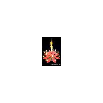 Lotus birthday music Candle
