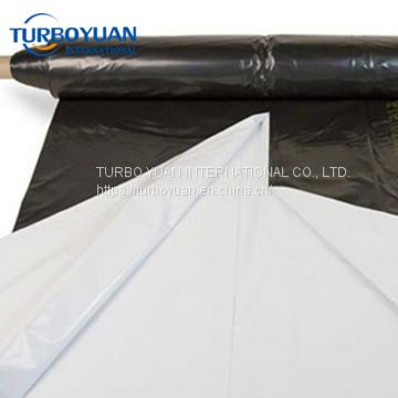 200 micron black and white plastic mulch film