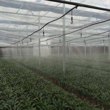 PC Sheet Agriculture Greenhouse Equipped with Misting System