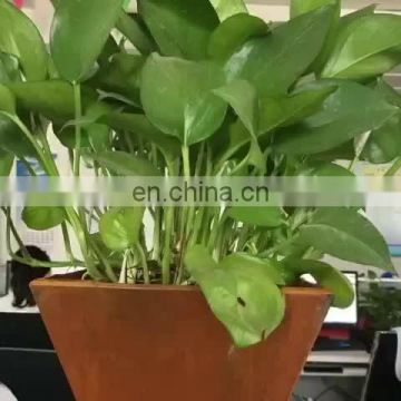 Chinese supplier mini flower pots bulk for hotels and gardens