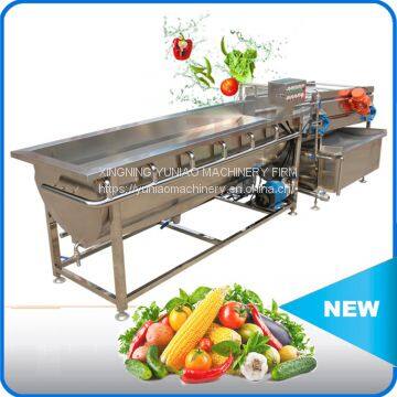 commercial vortex rotary automatic tomato pepper bean vegetable washer seaweed date fruit bubble washing machine   WT/8613824555378